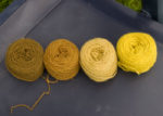 birch leaves / birkeblade