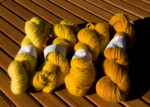 turmeric / gurkemeje